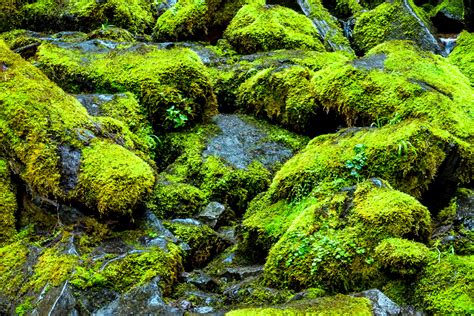 High Resolution Waterfall Photos And Large Format Prints Vast