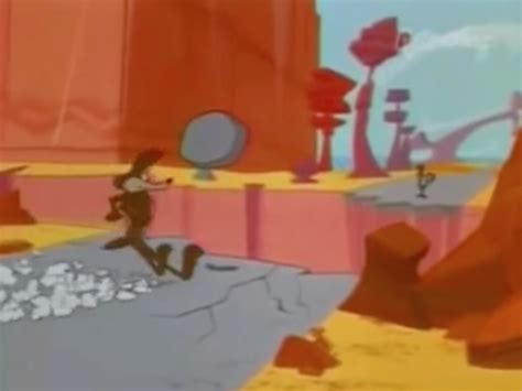 wile e coyote and the road runner western animation tv tropes