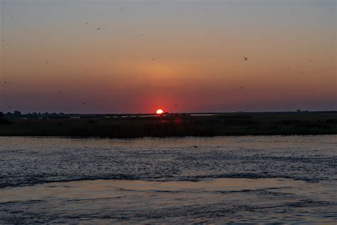 Sonnenuntergang über Dem Chobe River Foto And Bild Africa Southern