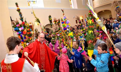 Mnóstwo Palm I Kuc Robiący Za Osiołka Radosna Niedziela Palmowa