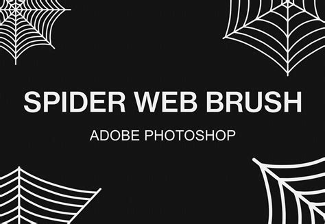 Photoshop Spider Web Brushes Set Creative Market