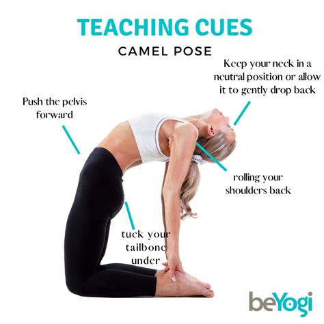 Pin On Yoga Teaching Tips