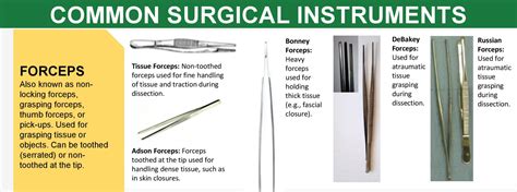 Clamp Types Common Surgical Instruments Also Called Grepmed