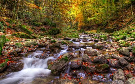 Beautiful Autumn Landscape Background Mountainous River ...