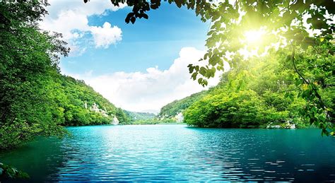 Peaceful Lake Hd Wallpaper Body Of Water And Green Leafed Trees