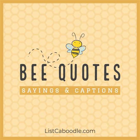 101 Best Bee Quotes Captions For Bee Lovers Listcaboodle