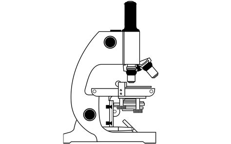 Cada pieza cumple una importante función: Microscopio Para Colorear - TUMICROSCOPIO para Pintar