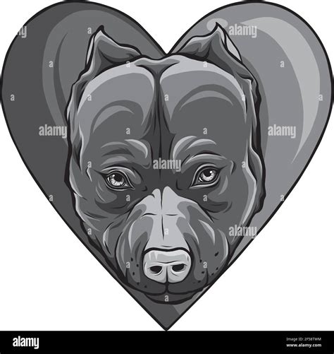 Design Of Pitbull Head Dog In Heart Vector Illustration Stock Vector