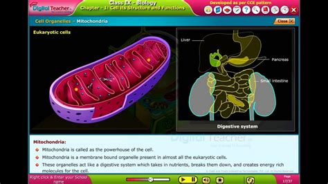 Animal cell definition class 9. Cell Organelles, Class 9 Biology | Digital Teacher - YouTube