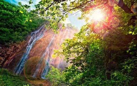 Forest Waterfall Sunlight Nature Landscape Trees
