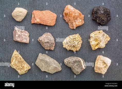 Sedimentary Rock Geology Collection From Top Left Siltstone