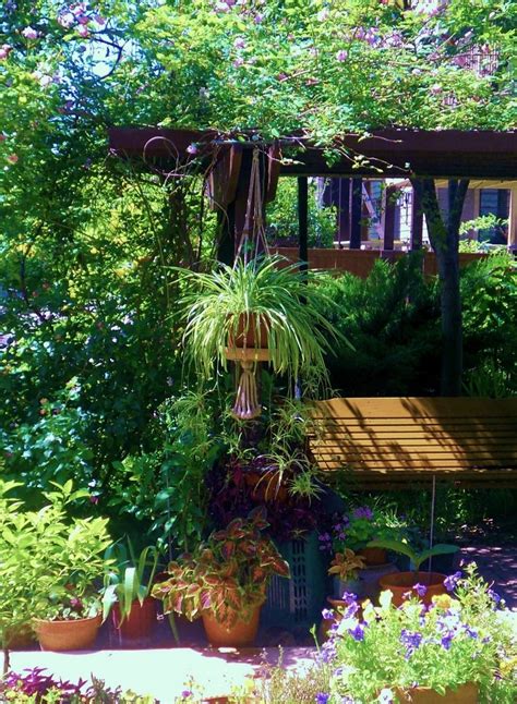 You can see how to get to daves garden structures on our website. The winners of Dave's Garden County Fair 2013: Favorite ...