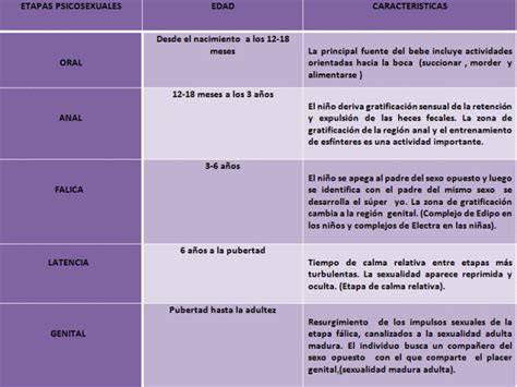 Etapas Del Desarrollo Psicosexual Teoría De Freud