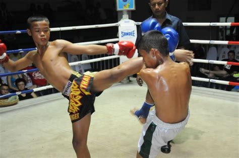 tiger muay thai fighters go 7 1 over 3 nights of muay thai fights across thailand tiger muay
