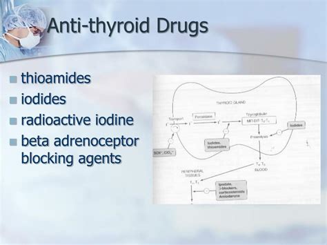 Ppt Antithyroid Drugs Powerpoint Presentation Free Download Id6745805