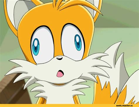 Tails The Fox Miles Tails Prower  Tails The Fox Mi