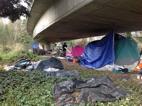 Seattle To Clear Out Homeless Camp ‘the Jungle In October