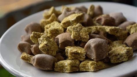 Buy snacks and treats for dogs and puppies online from india�s best online pet store at discount price. Stuck at Home? Whip Up the World's Easiest Dog Treats ...