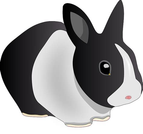 Image result for gambar animasi hewan binatang hewan jerapah. Gambar vektor gratis: Kelinci, Hewan, Hitam Dan Putih ...
