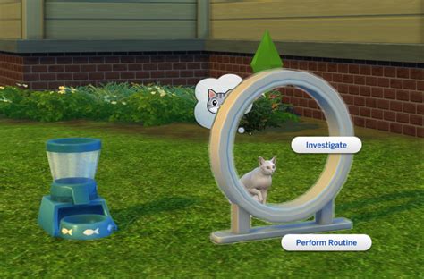 Sims 4 Maxis Match Cc The Sims 4 Cats And Dogs Playable Pets Mod Sims