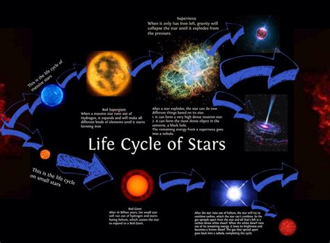 Life Cycle Of Starsthinglink Practice Llacrosse