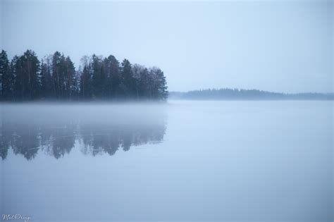 Wallpaper Trees Winter Lake Cold Ice Water Fog Pine Evening