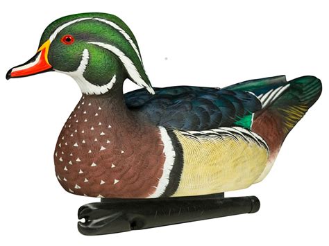 Avian X Top Flight Wood Duck Weighted Keel Duck Decoy Pack Of 6