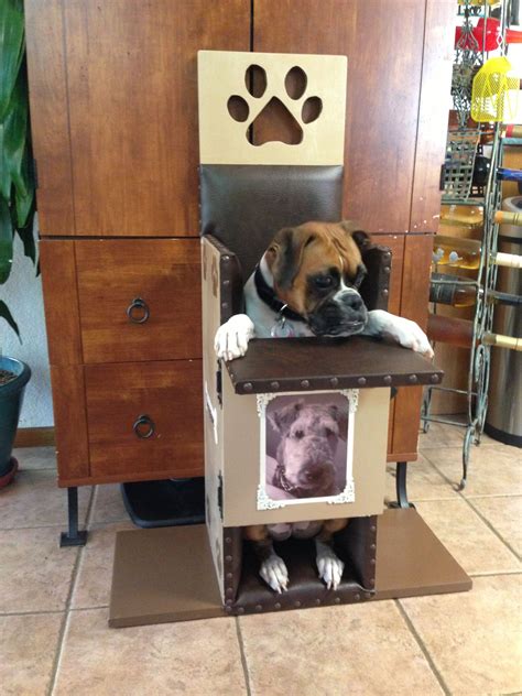 Bailey Chair For Canine Megaesophagus Bailey Chair For Dogs Bailey