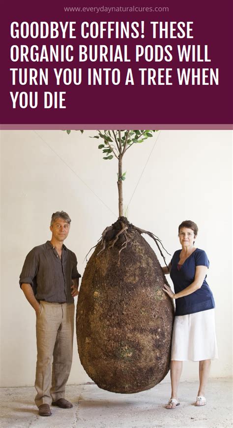 Goodbye Coffins These Organic Burial Pods Will Turn You Into A Tree When You Die Burial Pods