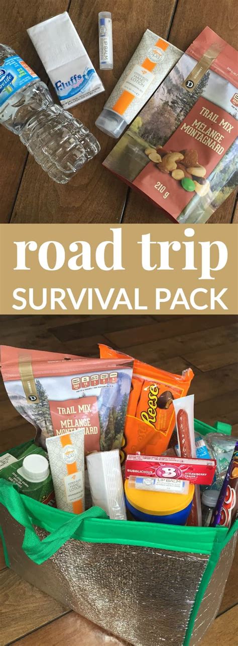 6 Tips To Making The Best Road Trip Survival Pack Mommy Moment