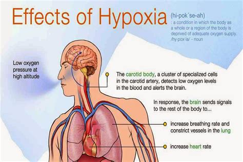 Hypoxia And Classify Of Hypoxia Asphyxia The Types With Causes Of Asphyxia Forensic Medicine