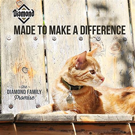 Diamond Premium Recipe Maintenance Complete And Balanced Dry Cat Food