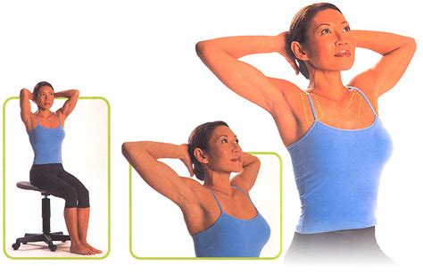 Pectoralis comes from the latin word pectus meaning breast and. Getting Fit like a Tank?: Daily Stretches