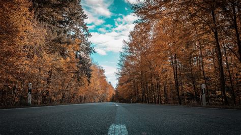 1920x1080 Alone Road Forest Autumn Golden Trees Ultra 4k Laptop Full Hd