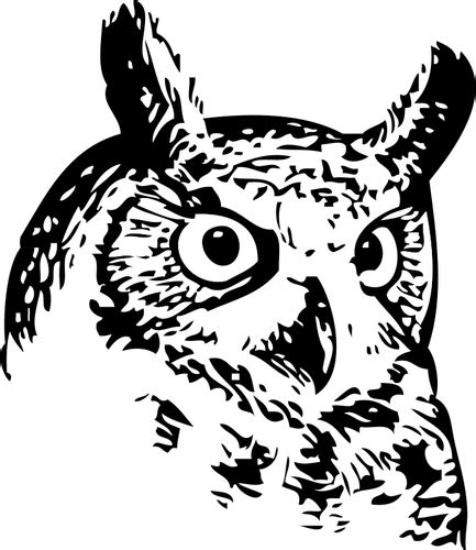 Owl Head Vector Image Public Domain Vectors
