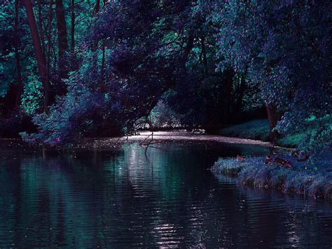 Mystical Lake Photograph By Menega Sabidussi Fine Art America