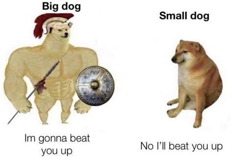 Big Vs Small Dogs Meme By Maddythemadcow Memedroid