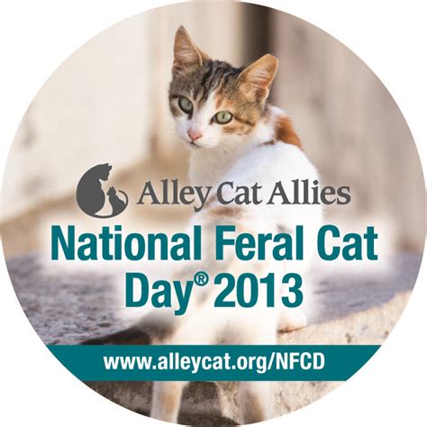 Celebrate National Feral Cat Day Nfcd Tell