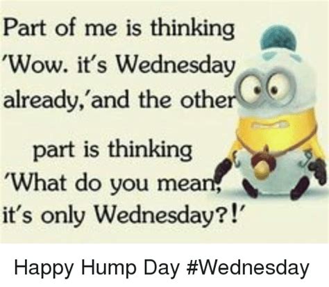 50 kickass funny wednesday memes to make hump day better funny wednesday memes wednesday