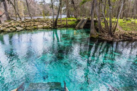 Floridas Best Natural Springs Waterfront Properties