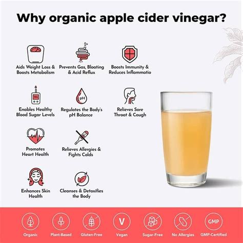 Best Apple Cider Vinegar Apple Cider Vinegar Benefits And Uses Buy
