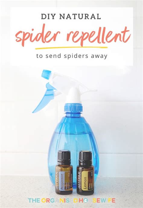 Diy Natural Spider Repellent The Organised Housewife Recipe In 2020