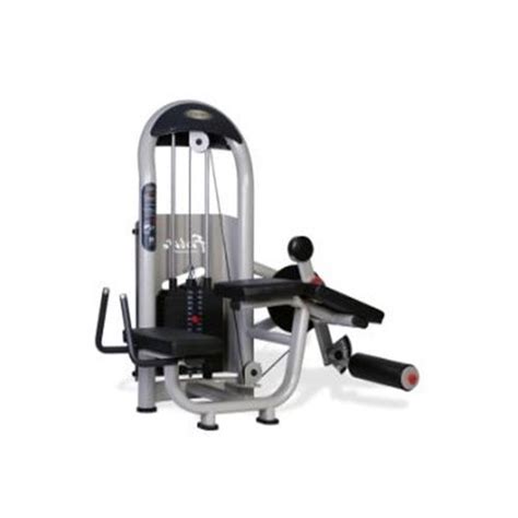 Mild Steel A6 013a Horizontal Leg Curl Machine For Gym At Rs 25000 In