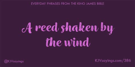 A Reed Shaken By The Wind King James Bible Kjv Sayings
