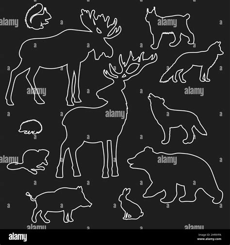 Vector Set Of White Outline Of Forest Animals On A Black Background