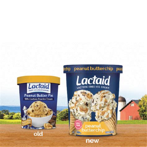 LACTAID Peanut Butter Chip Lactose Free Ice Cream LACTAID