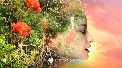 Boost Your Brainwave Activity With Binaural Beats Meditation Synctuition