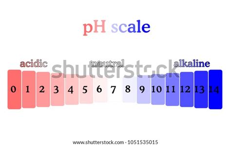 Ph Scale Diagram Corresponding Acidic Alcaline Stock Vector Royalty