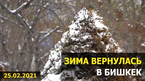 Зима вернулась в Бишкек YouTube