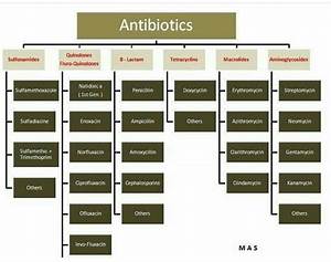 Antibiotics Pharmacology Nursing Nurse Nursing School